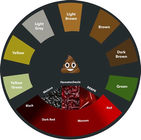 Poop Color Guide What It Means For Your Health