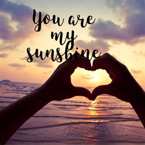 You Are My Sunshine☀️💘 Sunshine Quotes You Are My Sunshine Sunshine