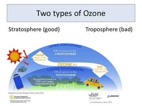 Human Impact On Ozone In The Environment