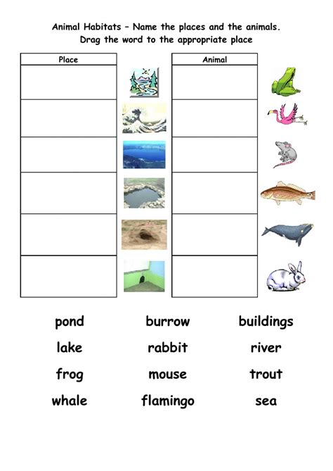 animal habitats online exercise