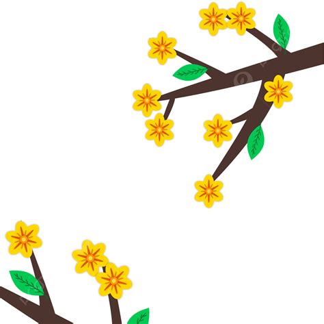 호아 마이 노란색 살구 꽃 꽃 지점 트리 호 아마이 살구 꽃 Png 일러스트 및 벡터 에 대한 무료 다운로드 Pngtree