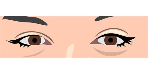 Ojos Mujer Maquillaje Gráficos Vectoriales Gratis En Pixabay Pixabay