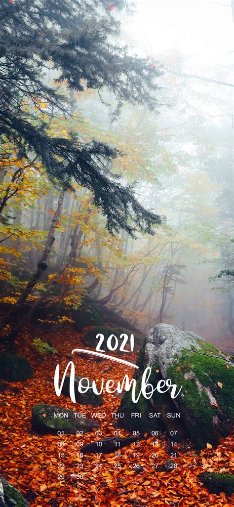 Download November 2021 Calendar Foggy Forest Wallpaper