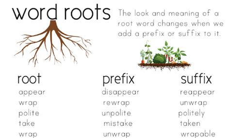 Janejira Word Roots And Affixes