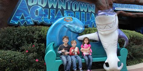 Downtown Aquarium Houston Houston Book Tickets And Tours Getyourguide