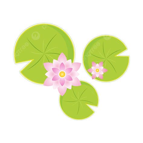 Pink Tender Green Water Lily Clipart Water Lily Clipart Pink Png And