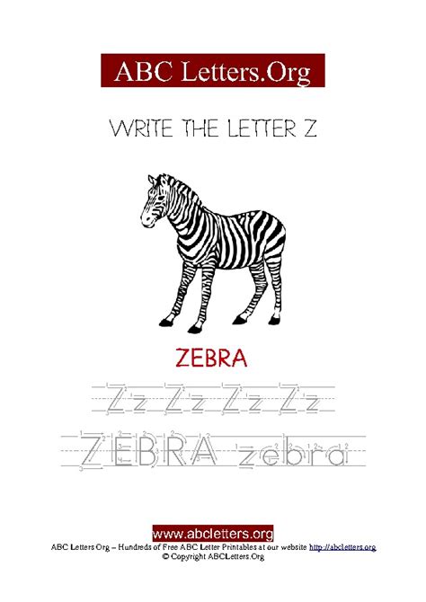 Zebra Letter Z Picture Writing Worksheet | ABC Letters Org