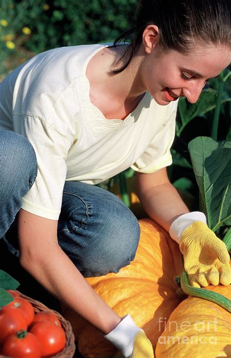 Gardening Photograph By Lea Paterson Science Photo Library Fine Art