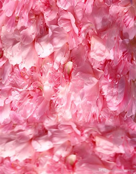 2019 Digital Printed Soft Pink Flowers Petals Newborn