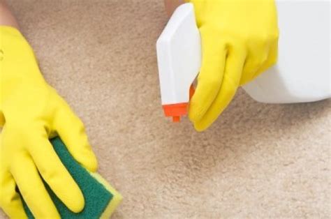 Cleaning Carpet Stains Thriftyfun