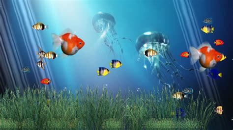 Download Ocean Life Aquarium Animated Wallpaper Collection