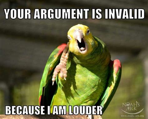 The Absolutely Best Bird Memes Ever