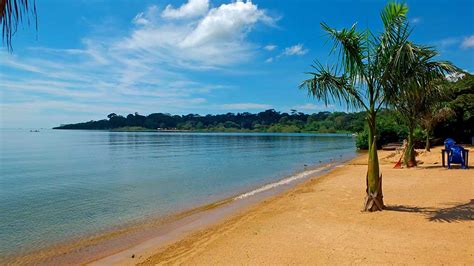 Entebbe Top Things To Do The Great Trekkers Safaris