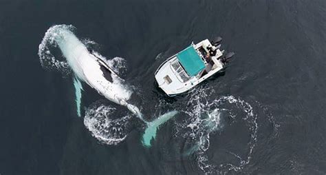 Terrifying Pictures Captured By Drones Unnerving Images For Your All