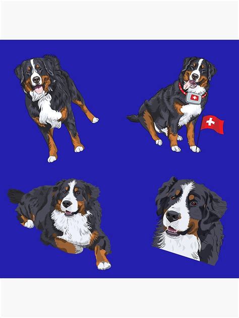 Bernese Mountain Dog Pack Poster For Sale By Productivelazy Redbubble