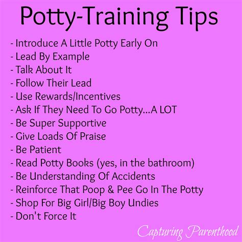 Our Potty Training Journey • Capturing Parenthood