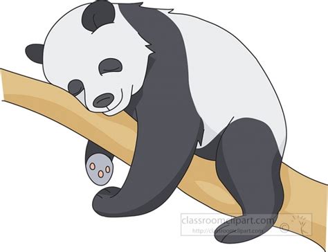 Panda Clipart Sleeping Panda On Tree Branch