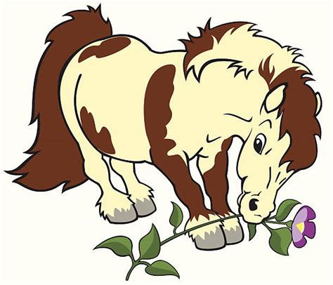 Shetland Ponies Clip Art Illustrations Royalty Free Vector Graphics