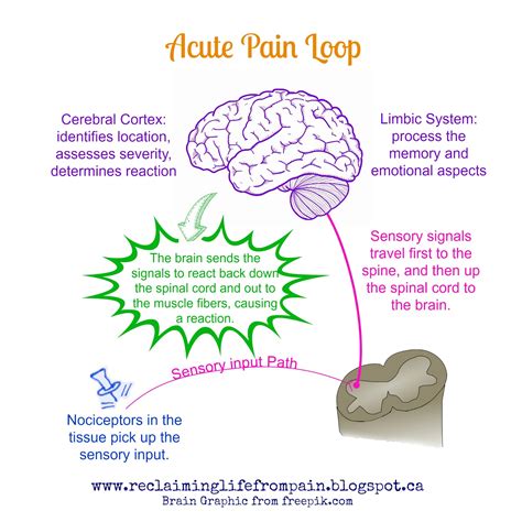 Reclaiming Life: What is Pain? Part Two: The Pain Alarm