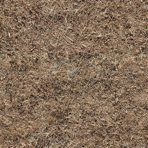 Dry Grass Texture Seamless 12919