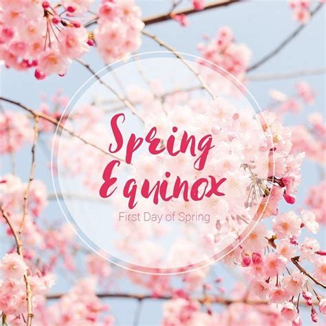 Its Spring Equinox Which Means Its Officially The First Day Of Spring