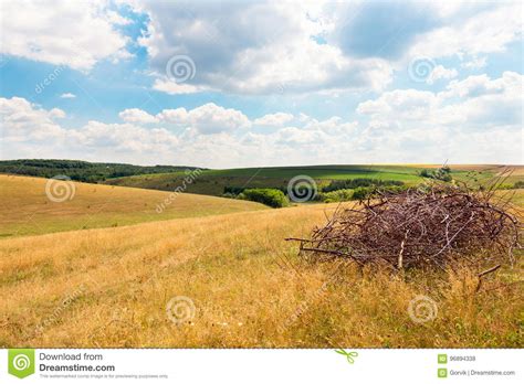 Panorama A Landscape Of Countryside With Fields Stock Photo Image