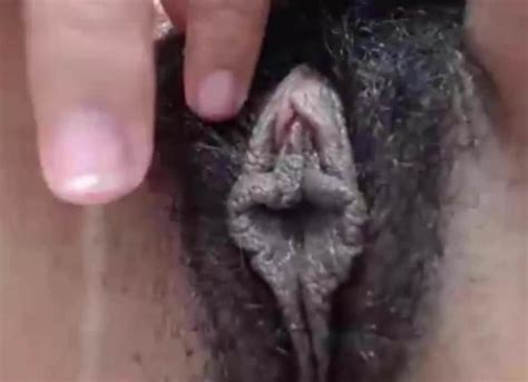 an exotic hairy black lips pussy xhamster