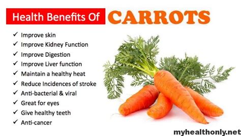 Know About Effective Health Benefits Of Carrots My Health Only