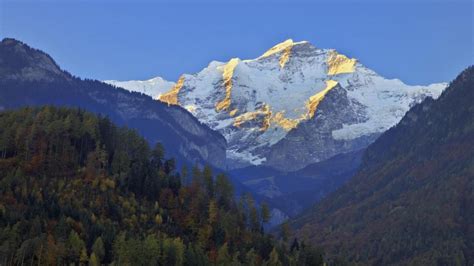 Jungfrau Alps Wallpaper Nature And Landscape