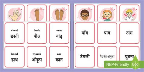 Body Parts Word And Picture Matching Cards In Hindi Twinkl