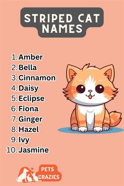 200 Stripped Cat Name Funny And Creative Ideas