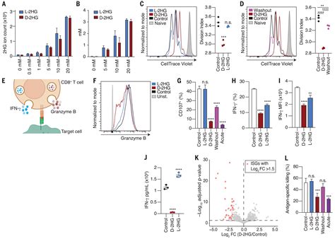 Oncometabolite D 2HG Alters T Cell Metabolism To Impair CD8 T Cell