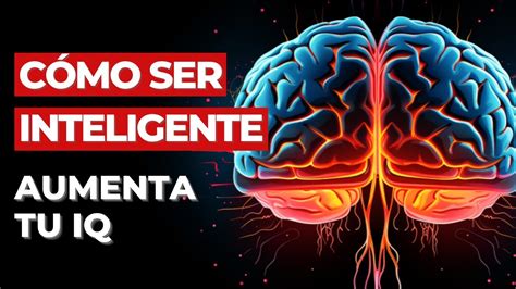 H Bitos Para Aumentar Tu Inteligencia El Arte De Ser Mas