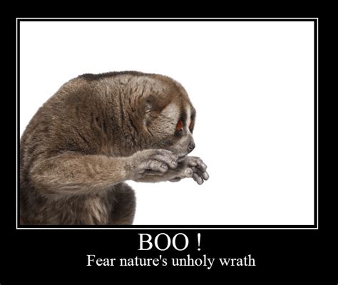 Poster Fear Natures Wrath