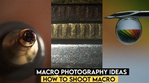 Macro Photography Ideas And How To Shoot Macro Macro Photography