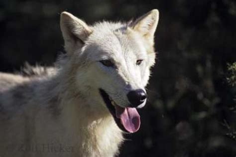 The World of Michael