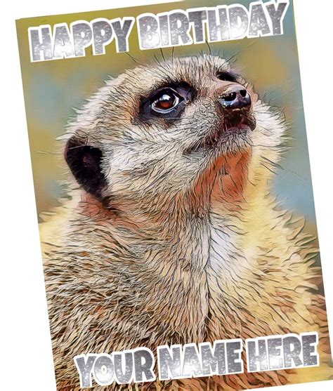 Meerkat Happy Birthday Personalised Greeting Card Silver Etsy
