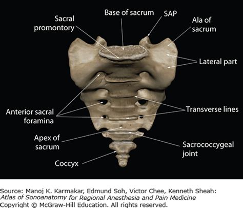 Ultrasound Imaging Of Sacrum And Lumbosacral Junction For Central