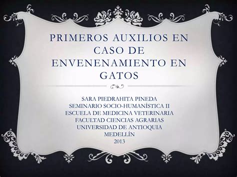 Primeros Auxilios En Caso De Envenenamiento En Gatos Ppt