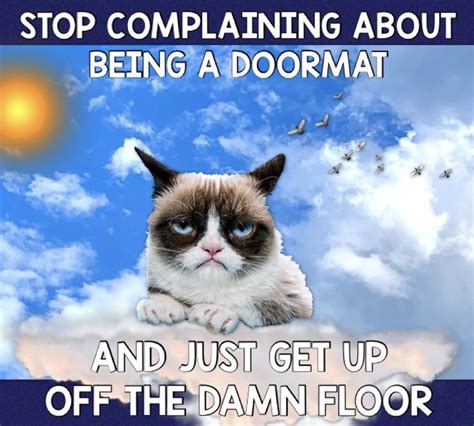 Grumpy Says Stop Complaining And Get Up Off The Floor 😾😼😹 Grumpy Cat