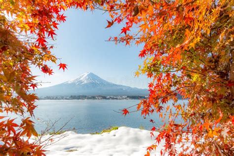 Mt Fuji In Autumn Stock Photo Image Of Blurred Japan 100412562