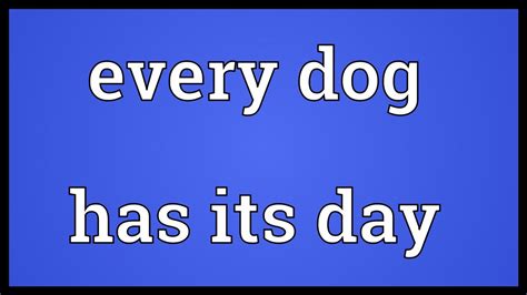 Every Dog Has Its Day Meaning Youtube