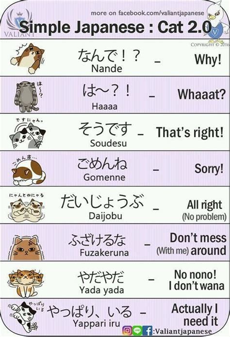 Common Japanese Words In Anime
