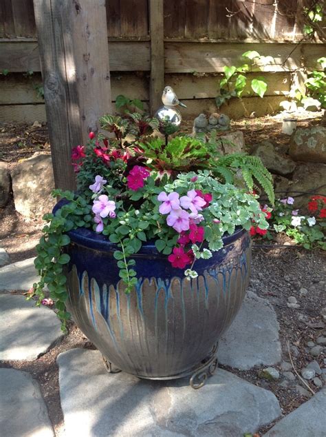 344 Best Images About Shade Container Gardening On Pinterest Window