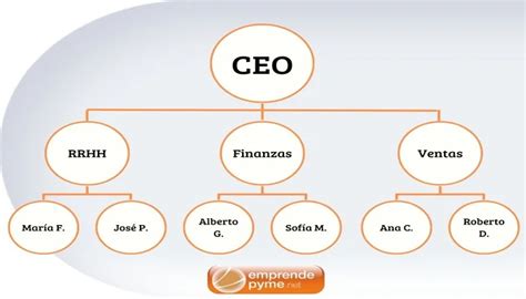 Estructura Organizativa De La Empresa Cual Elegir Y Tipos