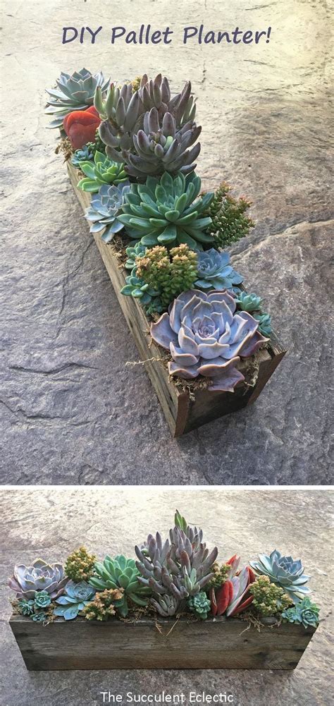Diy Pallet Planter Filled With Succulents Step By Step Tutorial To