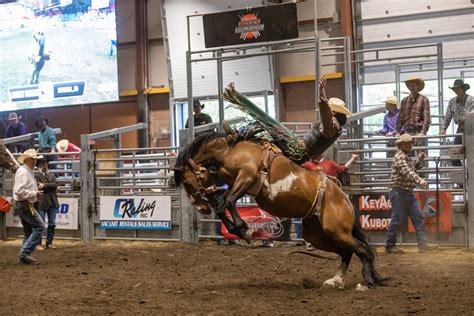 Pro Rodeo Events