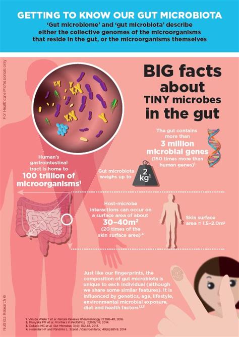 Big Facts About Tiny Microbes In The Gut Danone Nutricia Research