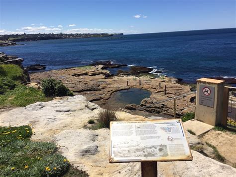 Ivor Rowe Rockpool 1 Bunya Parade South Coogee New South Wales