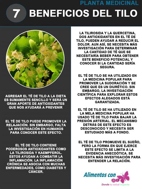 Tilo Conoce Los Beneficios De Este Té Y Sus Componentes Antioxidantes